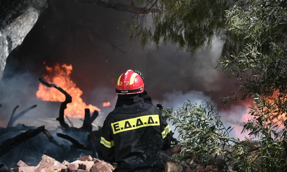 Πυρκαγιά σε δασική έκταση τώρα στην Ηλεία